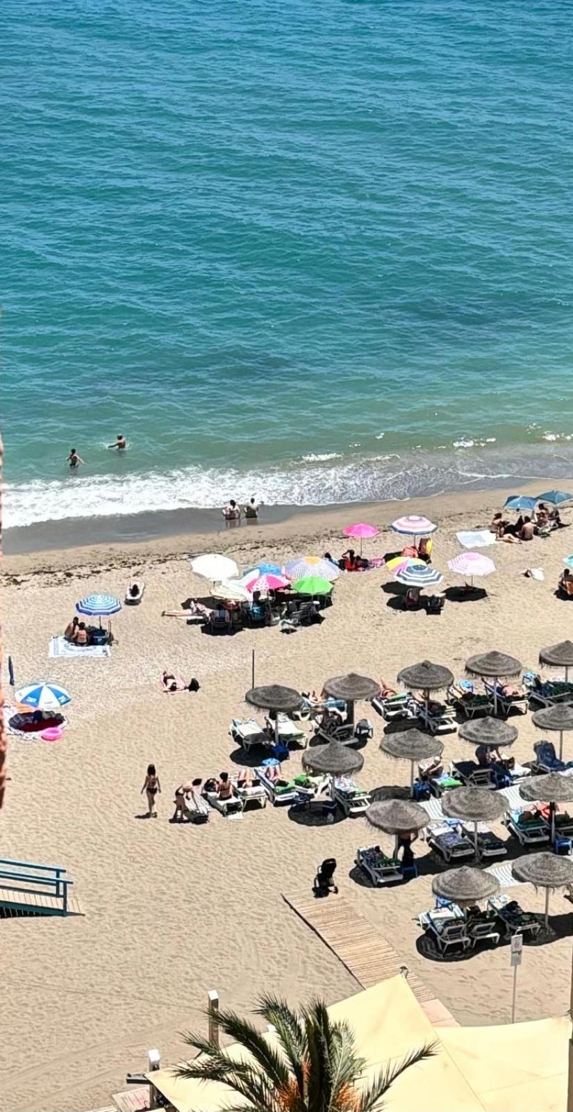 Primera Linea De Playa Paseo Maritimo Perla 5