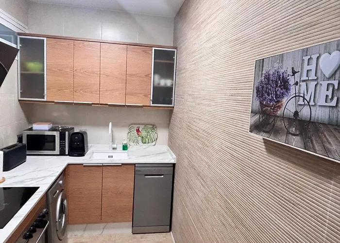 Apartamento Primera Linea De Playa Paseo Maritimo Perla 5